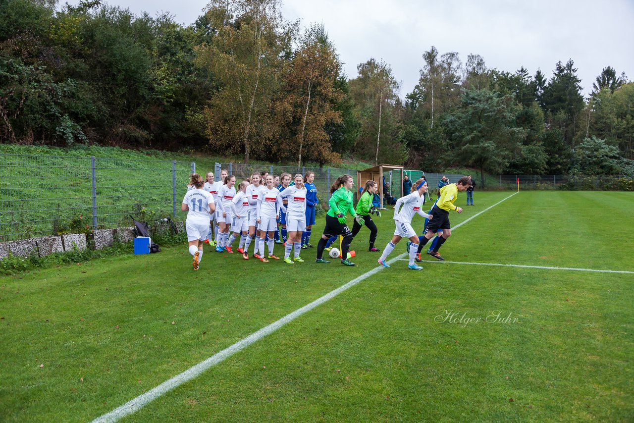 Bild 110 - Frauen FSC Kaltenkirchen - VfL Oldesloe : Ergebnis: 1:2